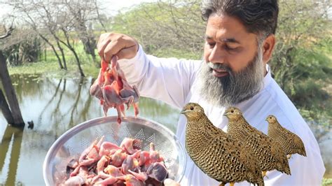 Bater Recipe | Gujranwala Famous Quail Recipe | Quail Bird | Mubarak Ali | Tour And Taste - YouTube