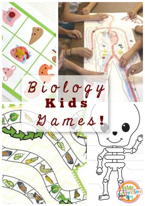 50 Play and Learn Science Games Kids Will Love! - Kids Activities Blog