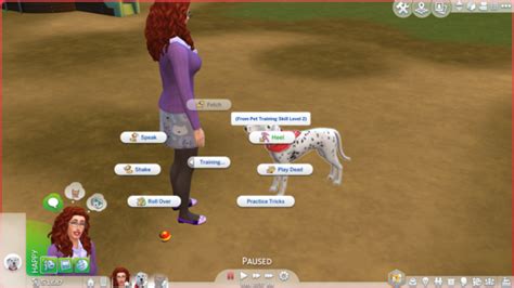 The Sims 4 Cats & Dogs: Pet Training Skill Guide