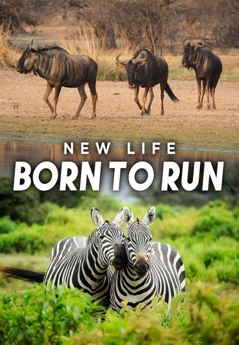 New Life: Born to Run | Apple TV