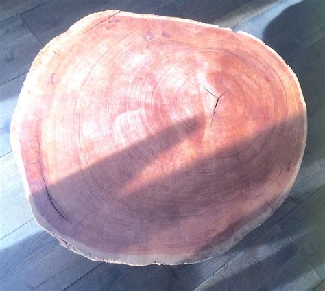 Round Coffee Table Live Edge Tree Trunk Slab Coffee Table With - Etsy