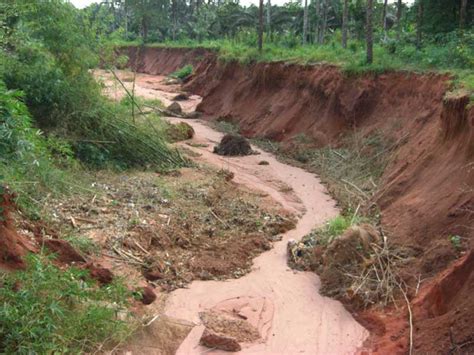 Simple Ways to Handle Water Runoff & Prevent Soil Erosion in Nigeria - EuroAfrica News-Magazine ...