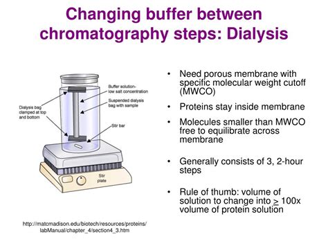 PPT - Methods of Protein Purification PowerPoint Presentation, free download - ID:89332