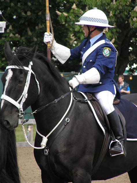 New South Wales Mounted Police | Horses | Pinterest | South wales and Horse