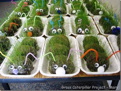 Children's Caterpillar Grass Craft | Caterpillar craft, Spring ...