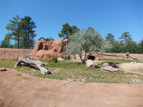 9/7/2021 - Javelina Habitat - ZooChat