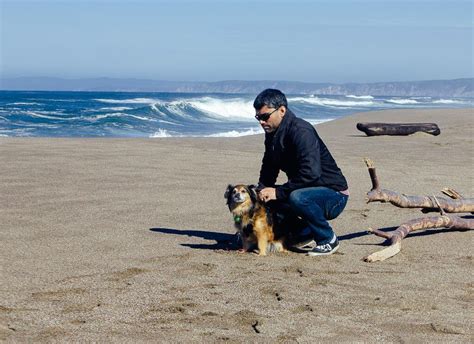 Top Dog Friendly Beaches in California: A Dog Mom's Guide