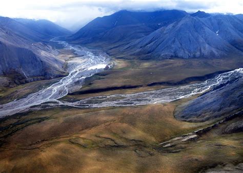 Wildlife and Wonder at the Top of the World, Arctic National Wildlife Refuge, Alaska