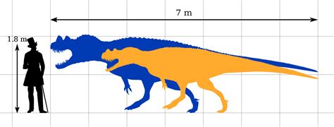 Ceratosaurus: "Horned Lizard"