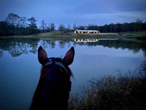 Horse Nation Gives Thanks | HORSE NATION