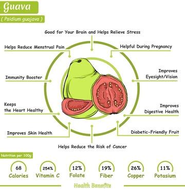 Premium Vector | Health benefits of a guava