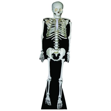 Skeleton Cardboard Cutout Free Shipping