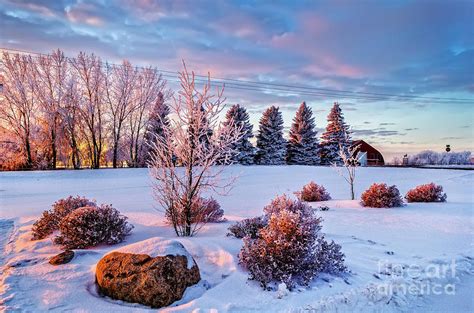 Winter landscape in Saskatchewan Photograph by Viktor Birkus - Fine Art America