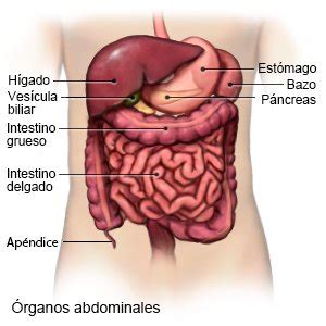 Tratamiento Para Infeccion De Garganta En Niños - Niños Relacionados