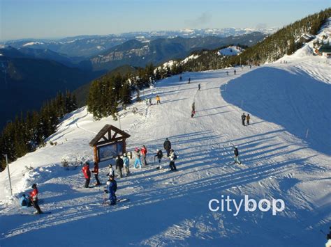 10 BEST Things to Do at Crystal Mountain