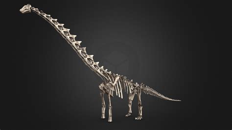 Dreadnoughtus skeleton - 3D model by Olof Moleman (@lordtrilobite ...