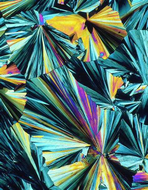 Hippuric Acid Crystals Photograph by Alfred Pasieka/science Photo Library