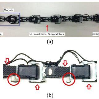 Map of snake robot locomotion. | Download Scientific Diagram