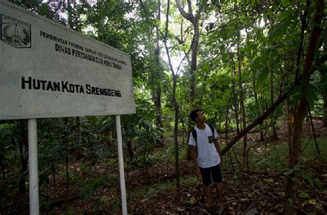 Hutan Kota Pondok Labu, Srengseng Sawah, Cipedak dan Munjul Segera Miliki SK Gubernur - Jakarta ...