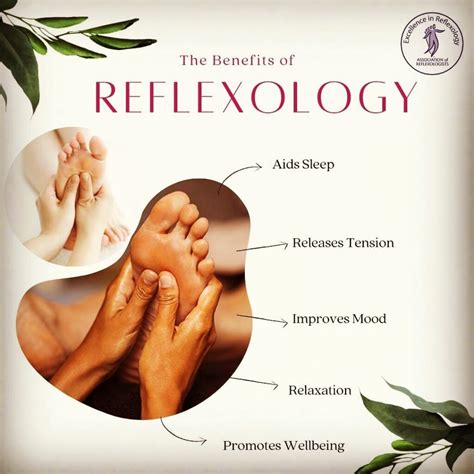 About Reflexology – Diana's Reflexology