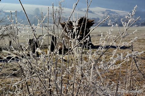 Campagne en hiver - Landscape & Rural Photos - Wide Open World