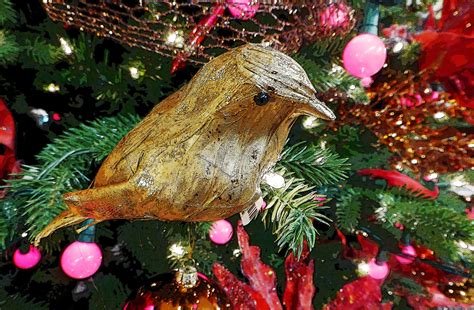 Bird Ornament In Tree #2 Free Stock Photo - Public Domain Pictures