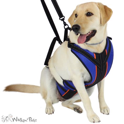 Lift-n-Step Dog Harness- Handicapped Pets - Oliver Pet Care