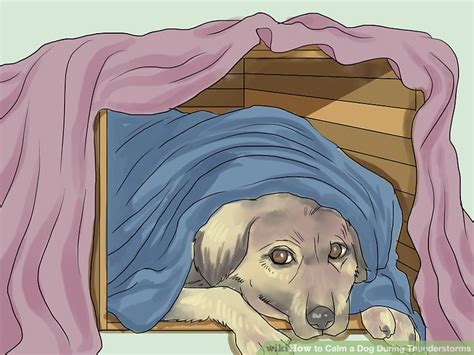 How to Calm a Dog During Thunderstorms: 12 Steps (with Pictures)