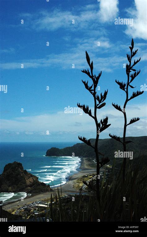 Karekare Beach, New Zealand Stock Photo - Alamy