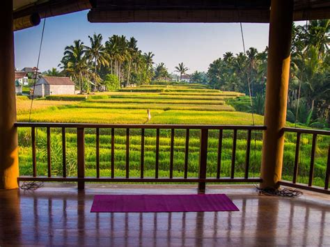 The Ultimate Guide to Yoga in Ubud, Bali | Ubud, Bali, Bali travel