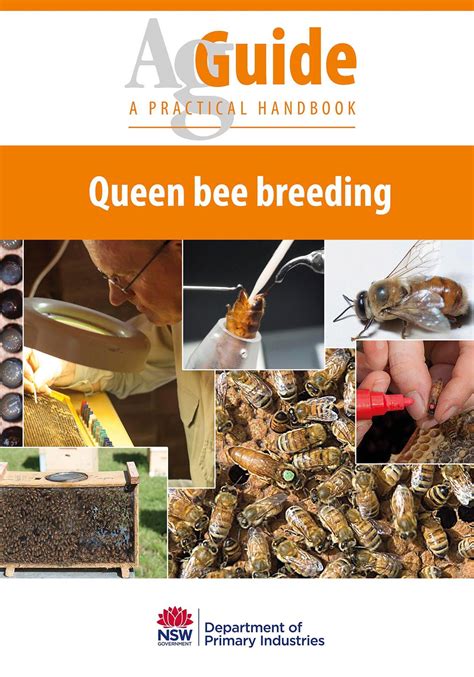 Queen bee breeding AgGuide