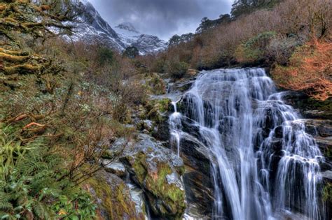 Fiordland National Park, New Zealand; Loner and Pedestrians, Must Come Here! - Traveldigg.com