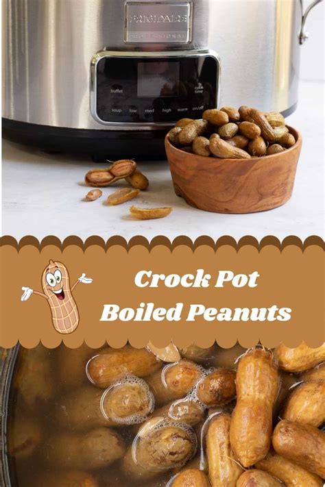 Easy Peanut Stand Crock Pot Boiled Peanuts Recipe - Intentional Hospitality