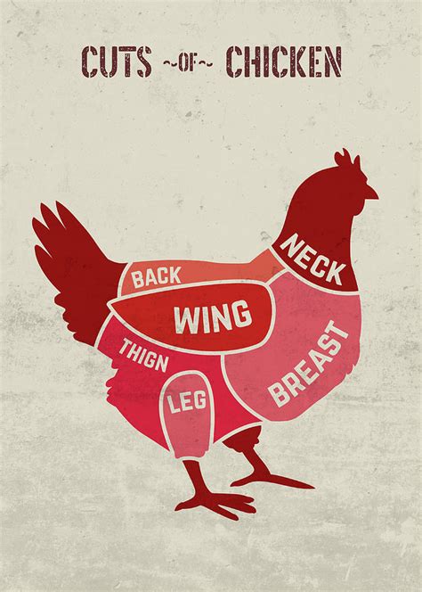 Cuts of Chicken Poultry Chart Butcher Meat Restaurant and Fine Dining Mixed Media by Design ...