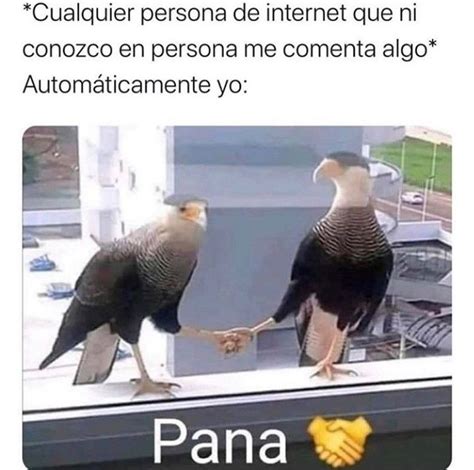 Panas 🤝 | Memes divertidos, Chistes, El mejor chiste