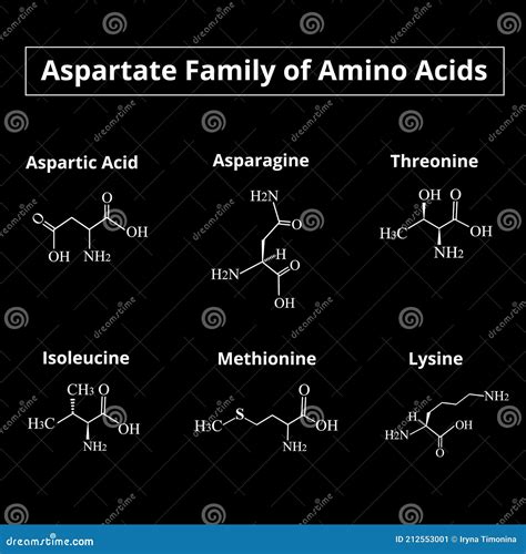 Aspartate Structure