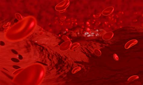 Red Blood Cell Wallpapers - Top Free Red Blood Cell Backgrounds ...