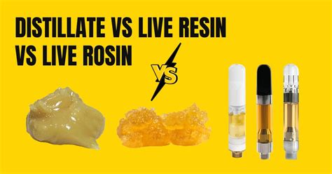 Distillate, Live Resin, Live Rosin: What's the Difference?