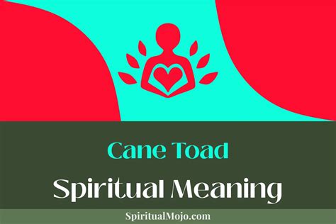 Cane Toad Spiritual Meaning (Beyond Physical Existence) - Spiritual Mojo