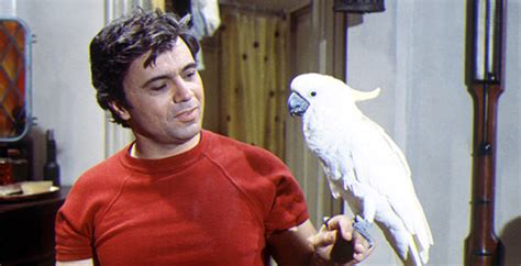 Baretta (1975) | Movie and TV Wiki | FANDOM powered by Wikia