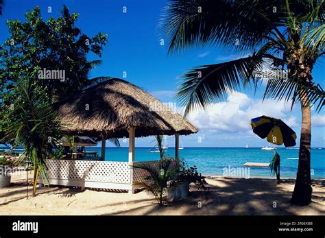 Hut on Pigeon Point Beach, Tobago Caribbean Stock Photo - Alamy