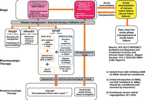 JCS/JHFS 2021 Guideline Focused Update on Diagnosis and Treatment of ...