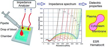 Electrochemical impedance spectroscopy of blood for sensitive detection of blood hematocrit ...