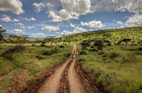 First Timer's Guide to Camping in the Serengeti - The Wanderlust Kitchen