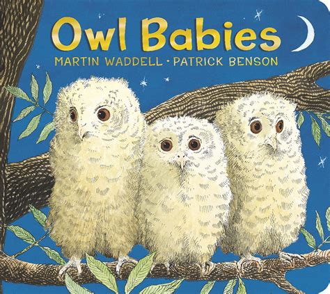 Owl Babies (Board book) - Walmart.com - Walmart.com