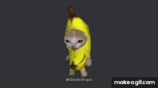 Banana cat running on Make a GIF