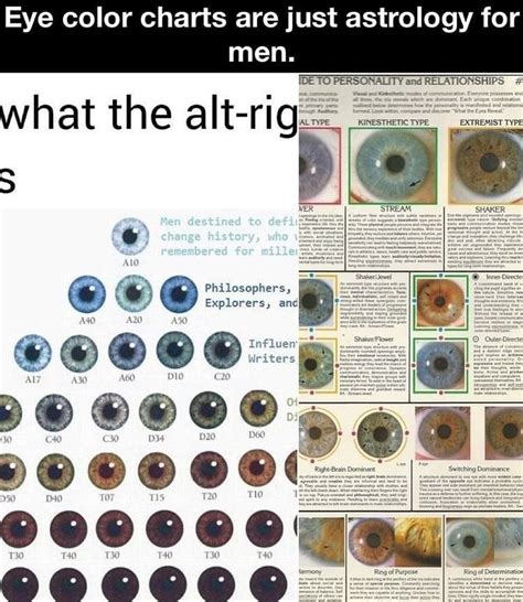 Genetics of human iris colour and patterns – Artofit