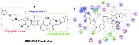 (A) Schematic representation of interaction of BTK and Fenebrutinib;... | Download Scientific ...