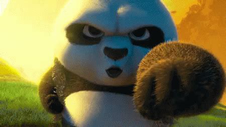 Kung Fu Panda GIFs | Tenor