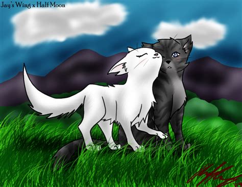 Jayfeather and Half Moon - Jayfeather and Half Moon Fan Art (34469761) - Fanpop